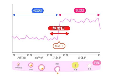 妊娠危険日計算|安全日と危険日の計算